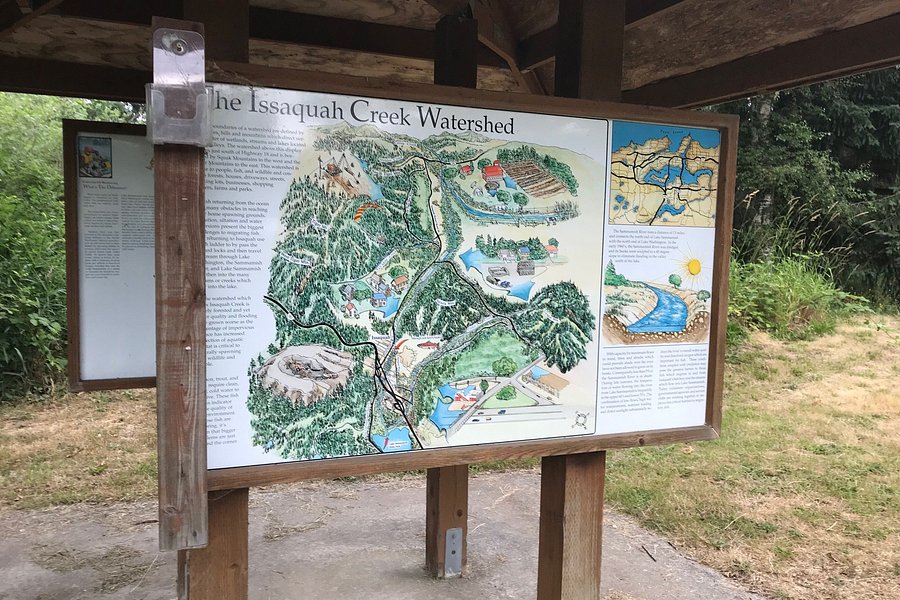 Lake Sammamish Issaquah Creek Trail image