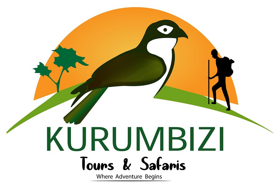 KURUMBIZI TOURS & SAFARIS image