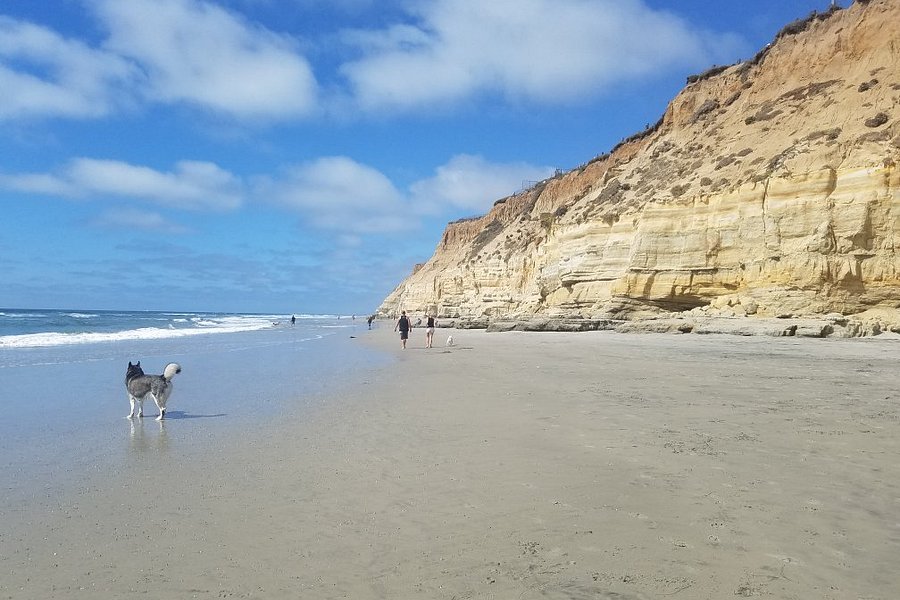 Del Mar Dog Beach image