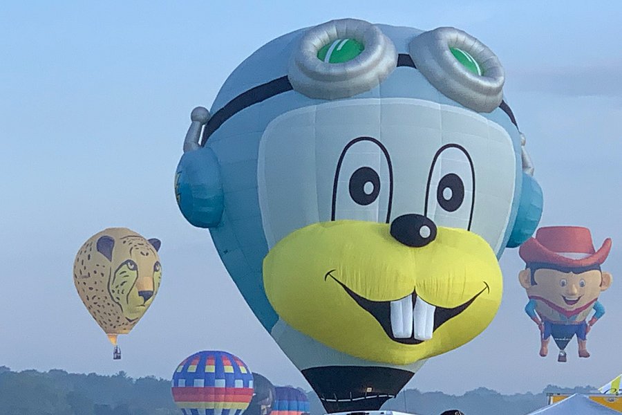 Adirondack Balloon Festival image