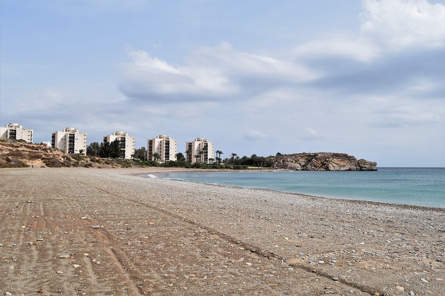 Playa El Mojon image