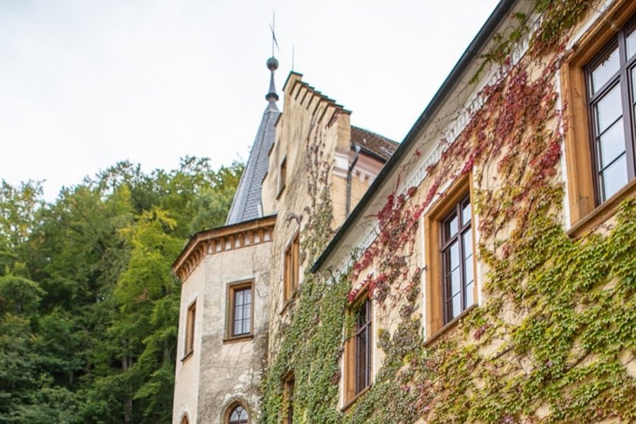 Schloss Weissenstein image