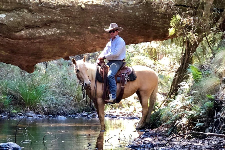 River Horse Training and Trekking image