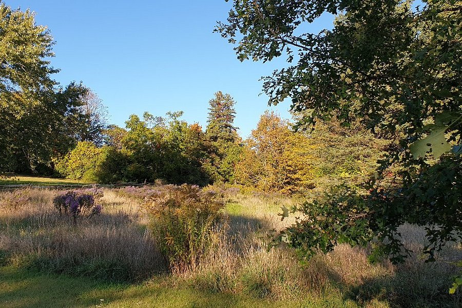 Proctor Park Conservation Area image
