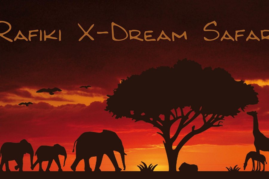 Rafiki X-Dream Safaris image