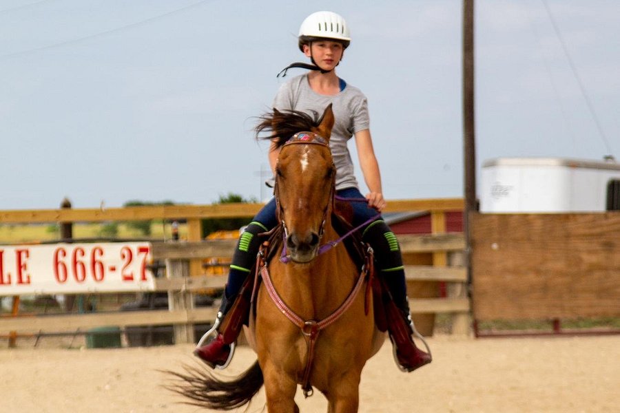 Heart of Texas Equestrian Academy image