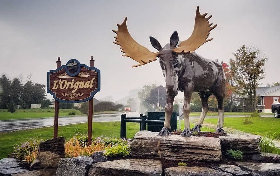 L'Orignal Moose Statue image