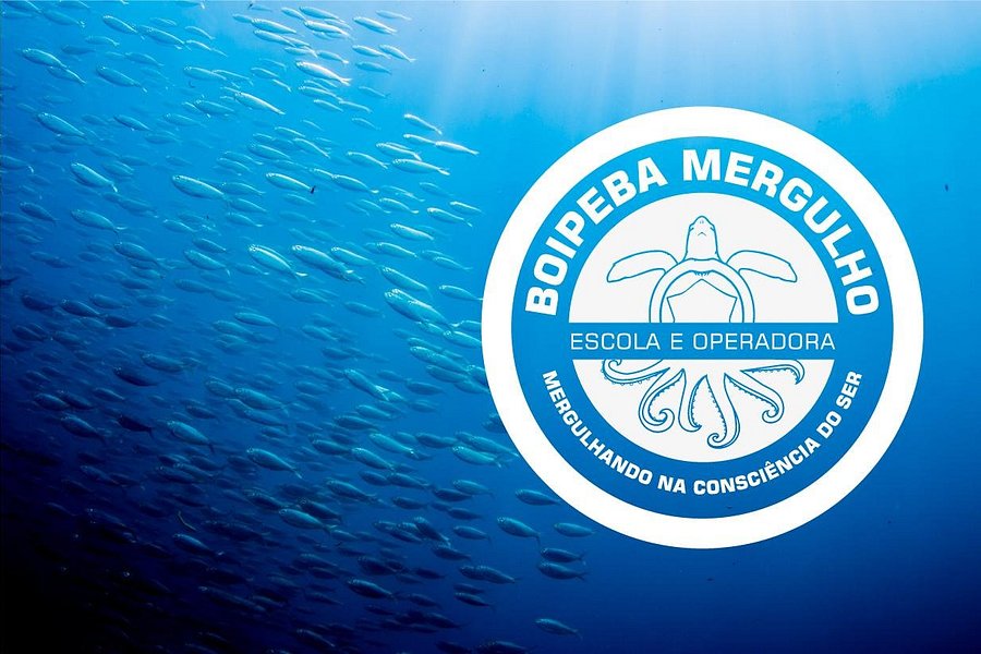 Boipeba Mergulho - Scuba Diving Center image