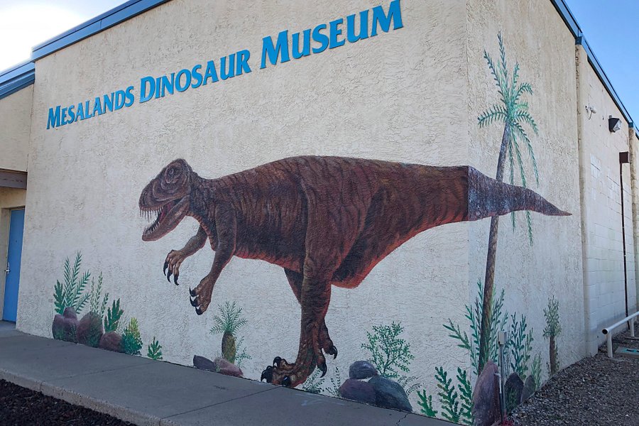 Mesalands Community College's Dinosaur Museum and Natural Sciences Laboratory image