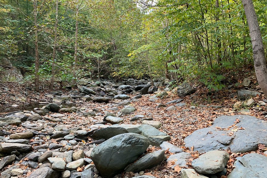 Sugar Hollow Trail to Blue Hole image