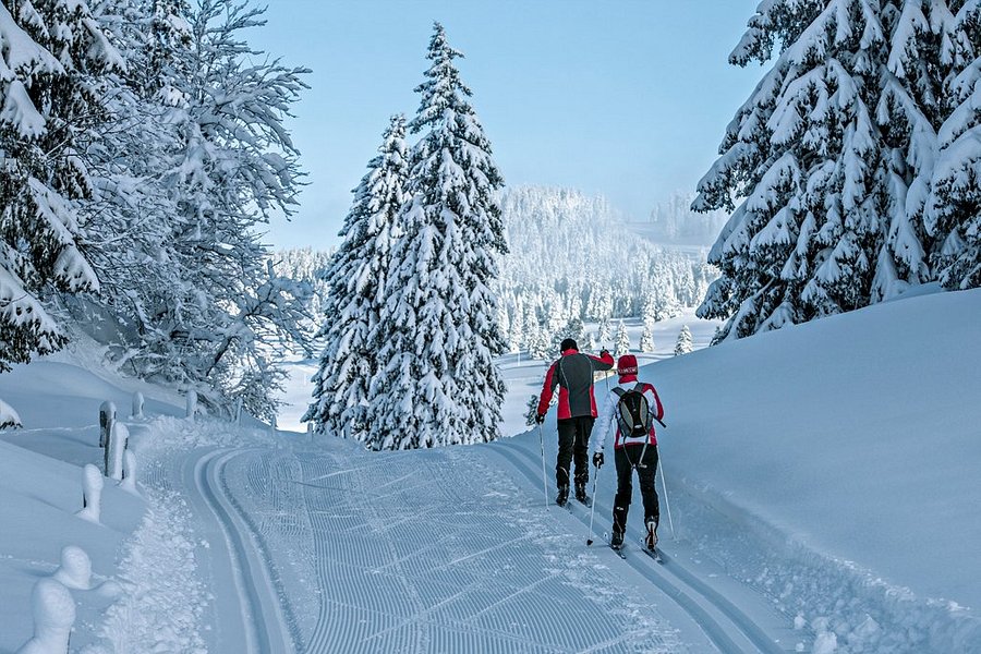 Les Pleiades Ski Trails image