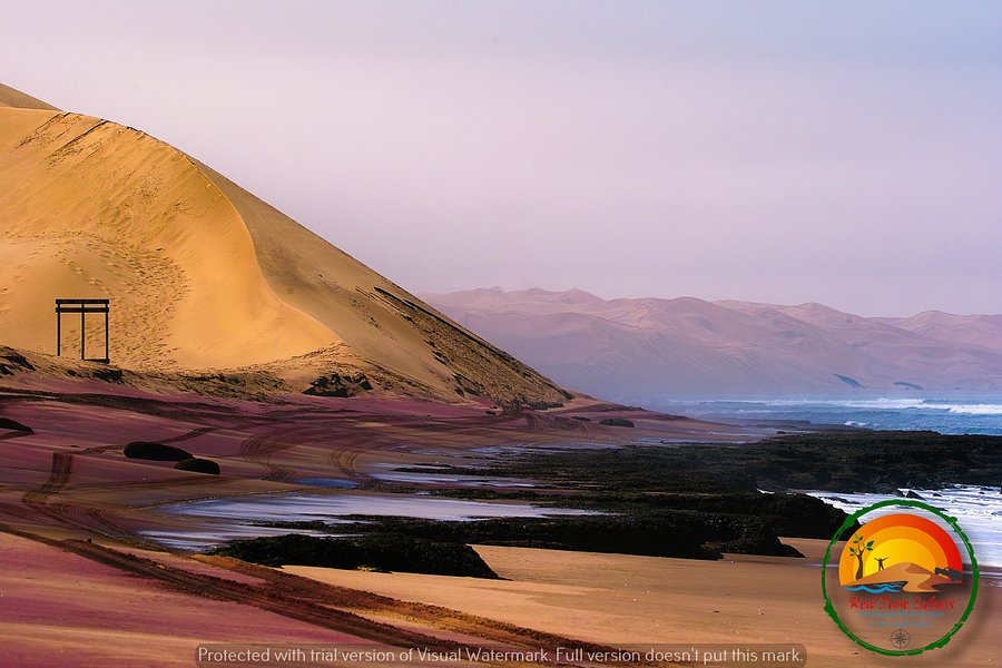 Red Dune Safaris image