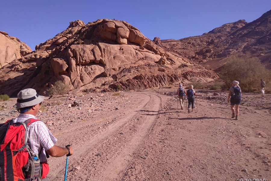 Sinai Trail image