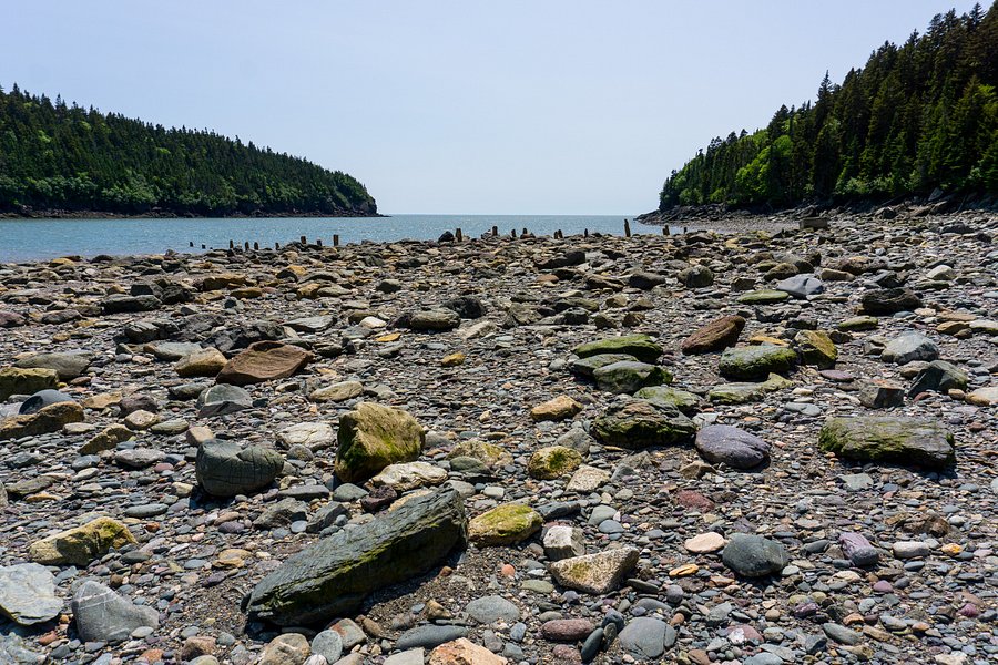 Point Wolfe Beach image