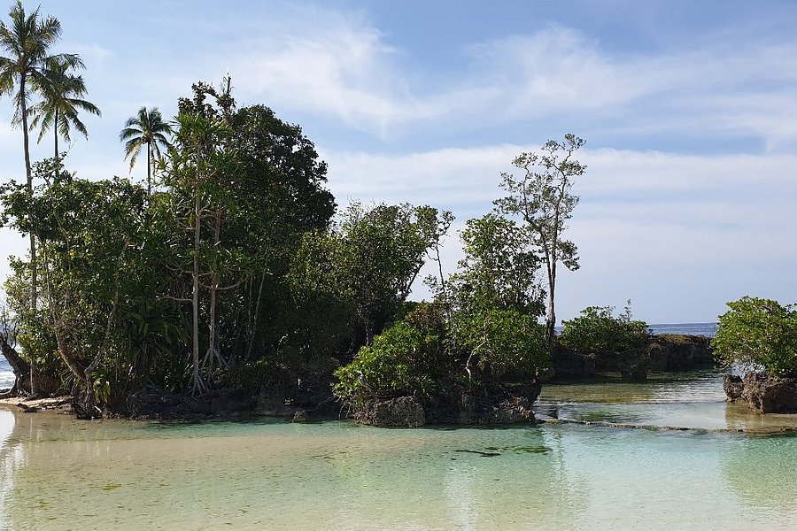 Tanjung Saruri image
