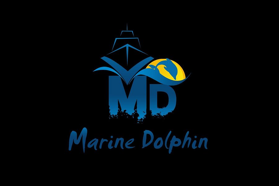 Marine Dolphin Travel image