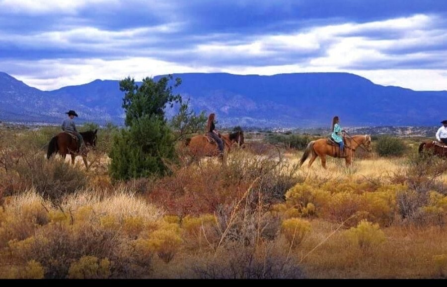 Wild Western Horseback Adventures image