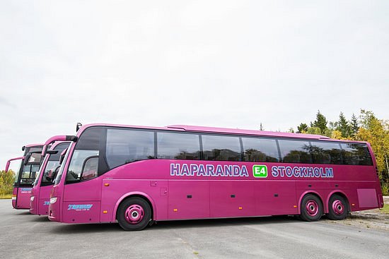 Tapanis Buss image