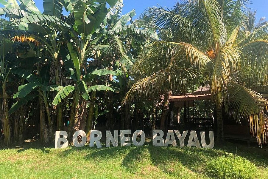 Borneo Diary Travel image