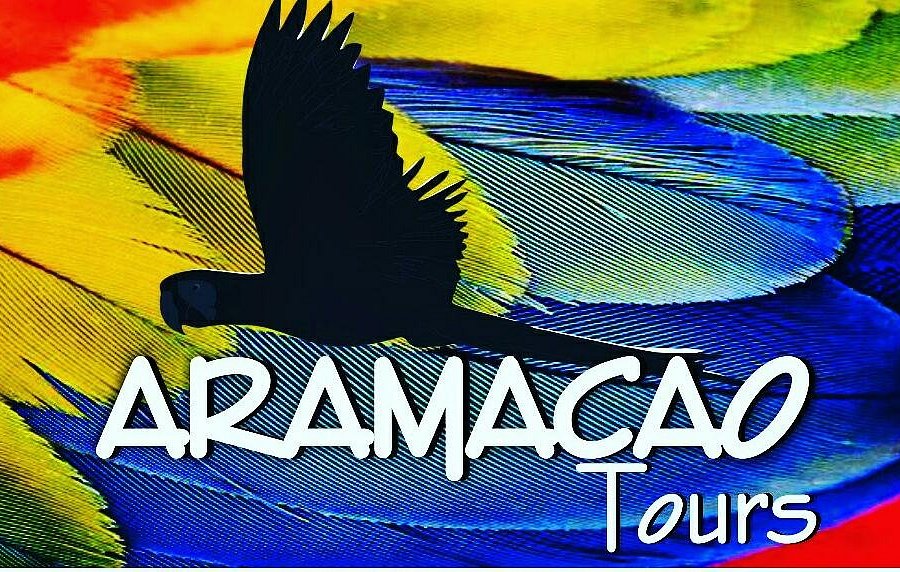 Aramacao Tours image