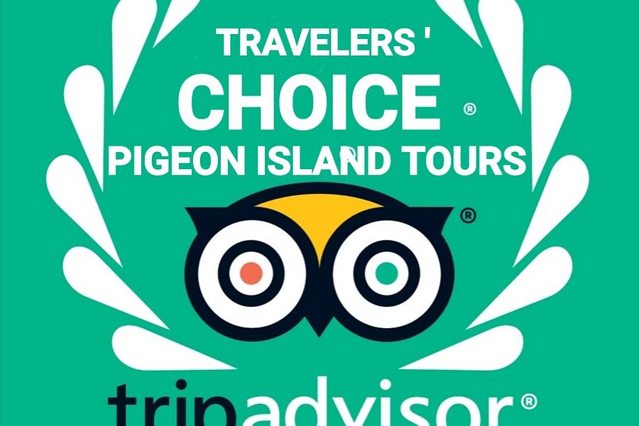 Pigeon Island Tours image