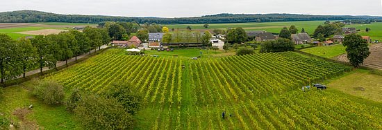 wijngaard de Plack image