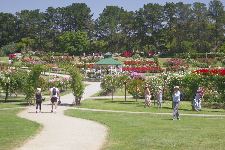 Victoria State Rose Garden image
