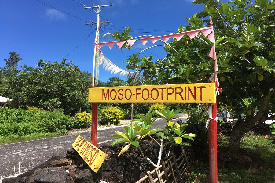 Moso's Footprint image