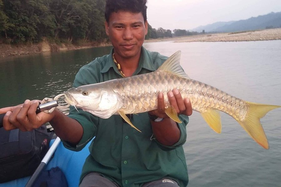 Seti Karnali Mahseer Fishing image