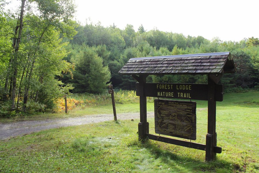 Forest Lodge Nature Trail image