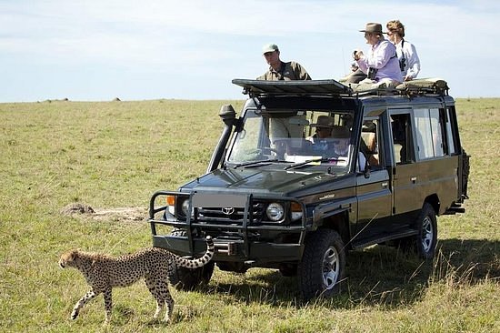 Gracepatt Safaris image