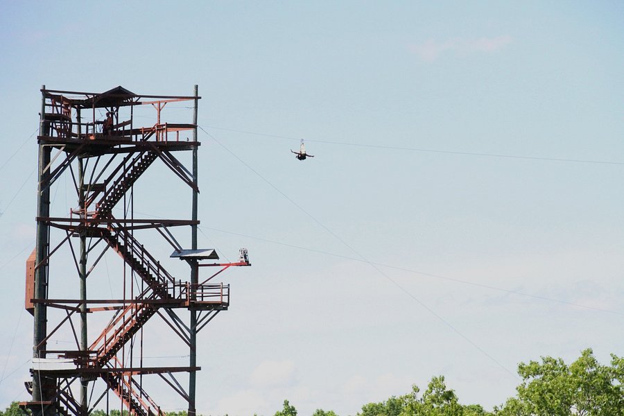 Historic Banning Mills Zip Line Canopy Tours image