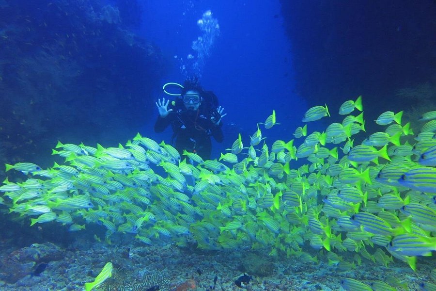 Go Divers Maldives image