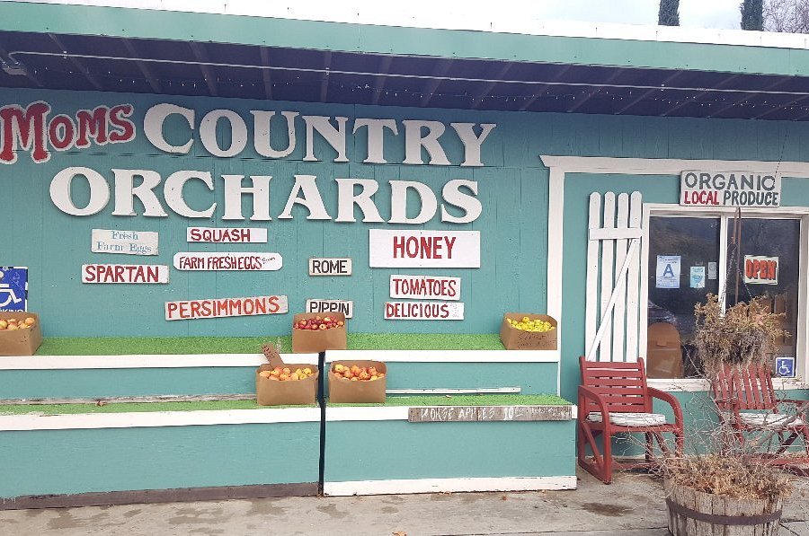Moms Country Orchards image