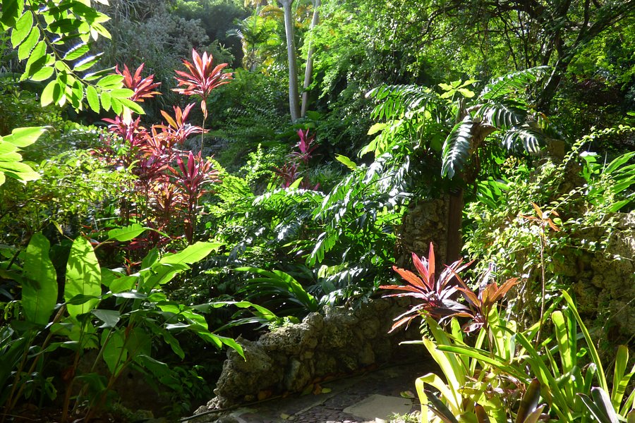 Andromeda Botanic Gardens image