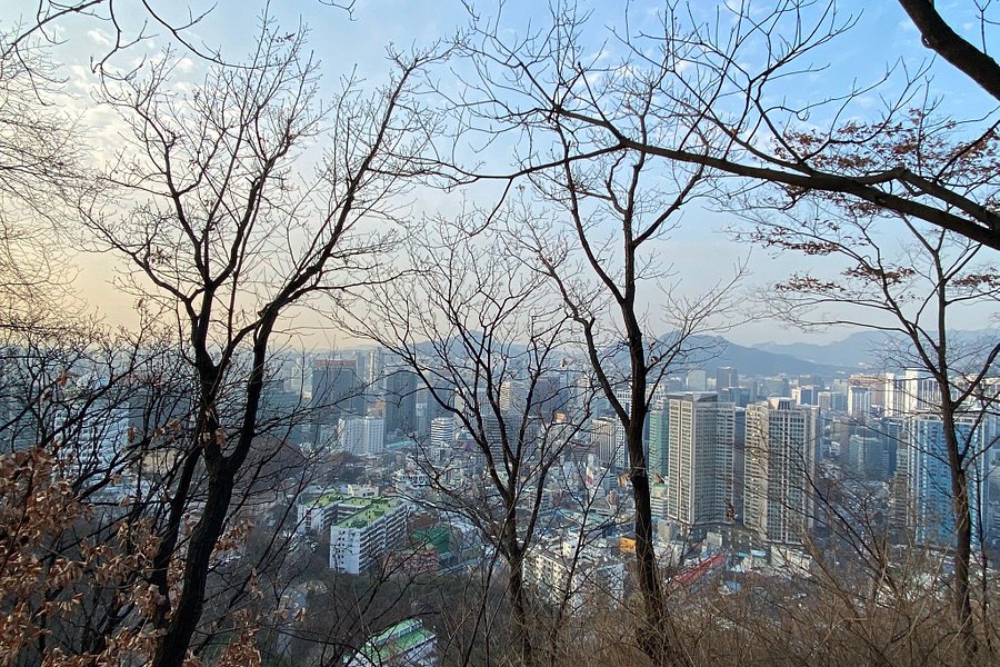 Namsan Park image