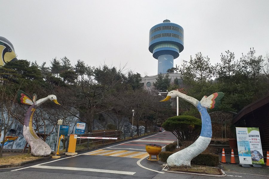 Geum Gang Migratory Bird Observatory image