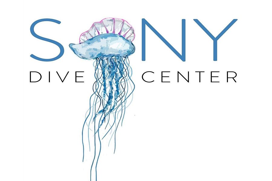 Sony Dive Center image