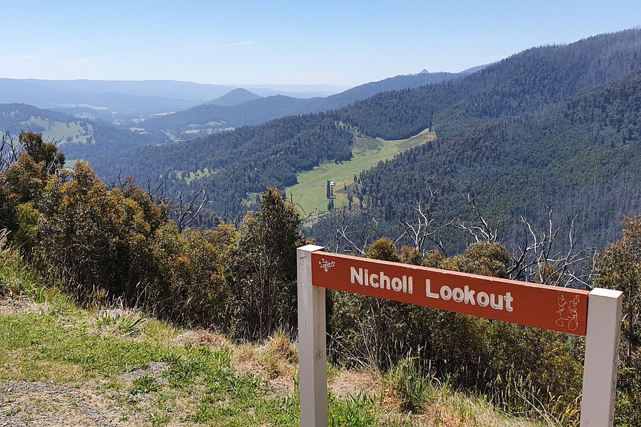 Nicoll Lookout image