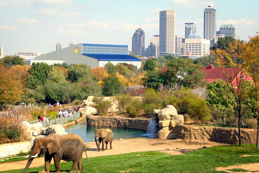 Indianapolis Zoo image
