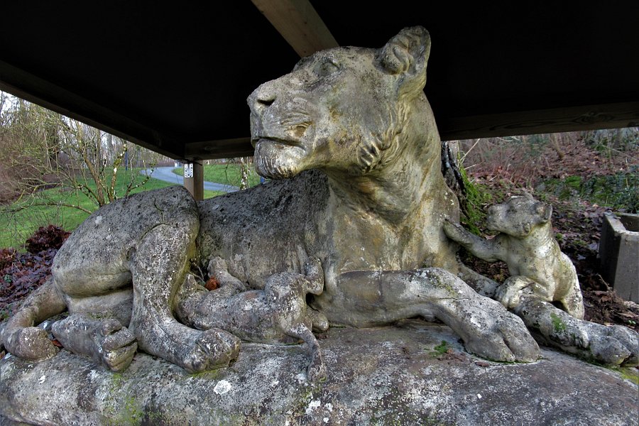 Lionne et lionceaux image