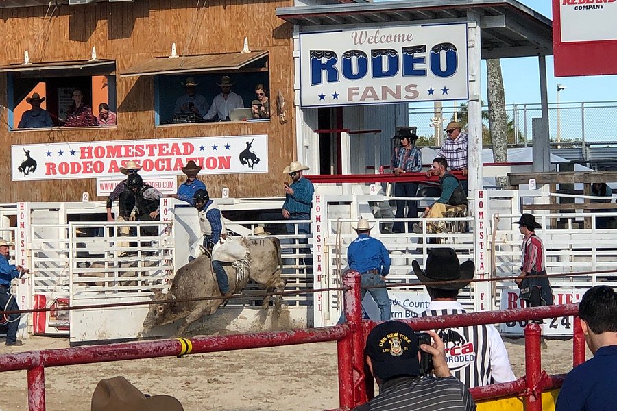 Annual Homestead Championship Rodeo image