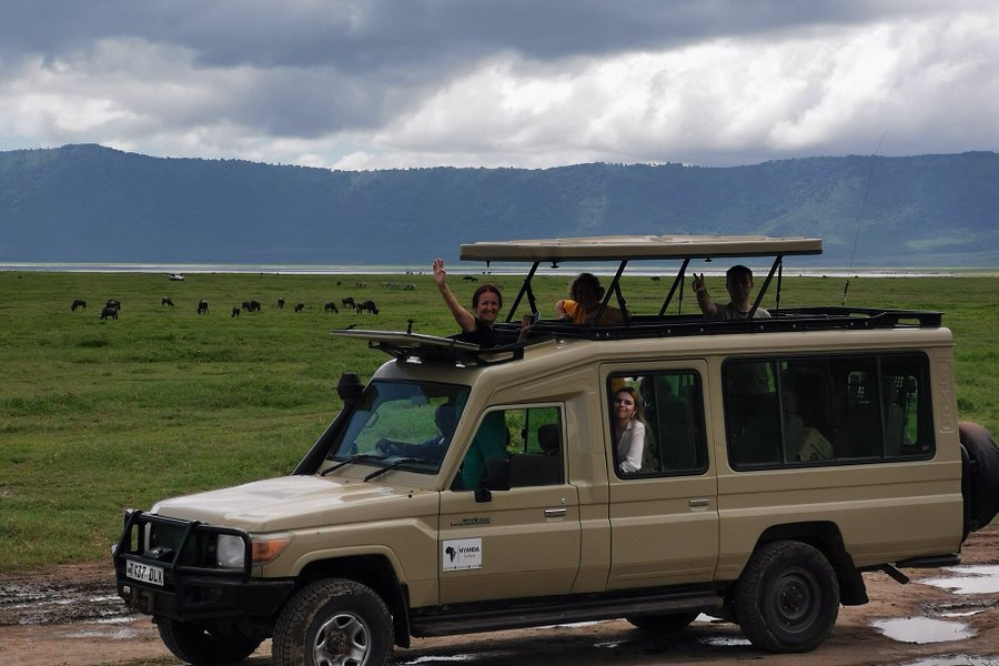 Nyanda Safaris image