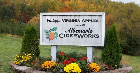 Vintage Virginia Apples image