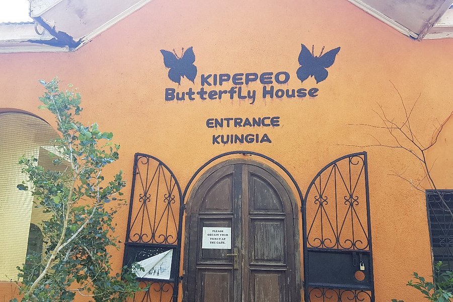 Kipepeo Butterfly House image