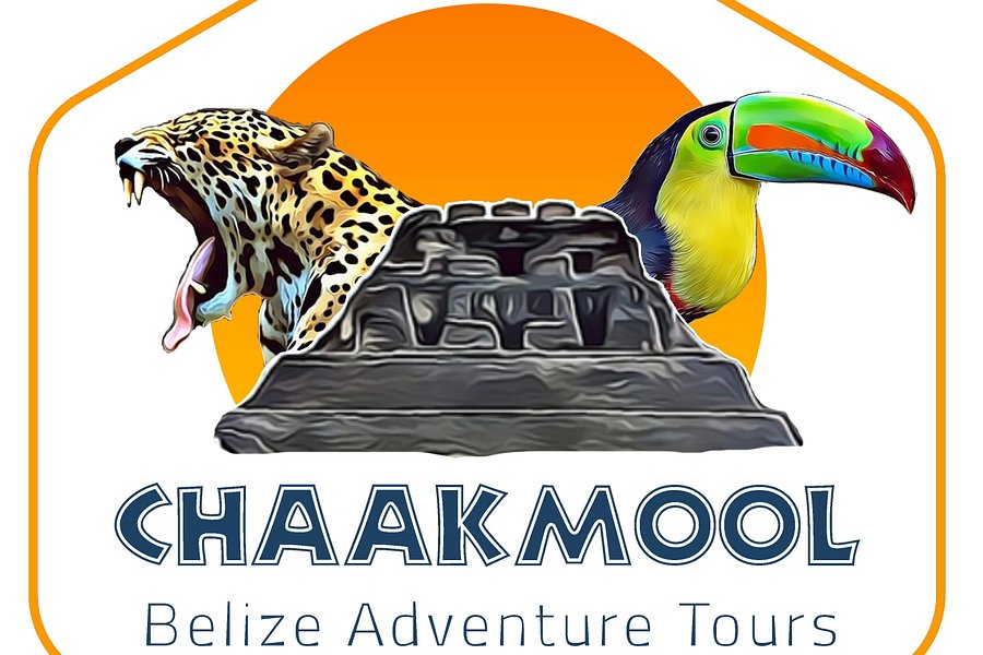 Chakmool Tours image