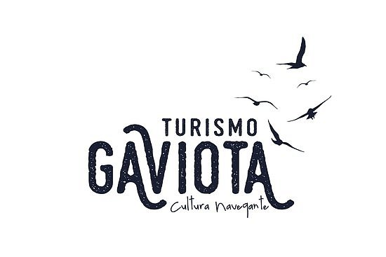 Turismo Gaviota image