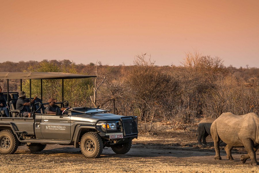 Victoria Falls Private Game Reserve image