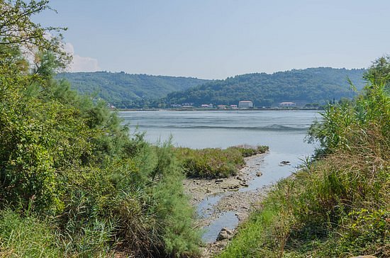 Lagoon Stjuza image