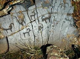 Boraldai Petroglyphs image